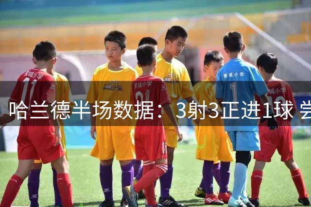 哈兰德半场数据：3射3正进1球 尝试过人、争顶各1次均成功